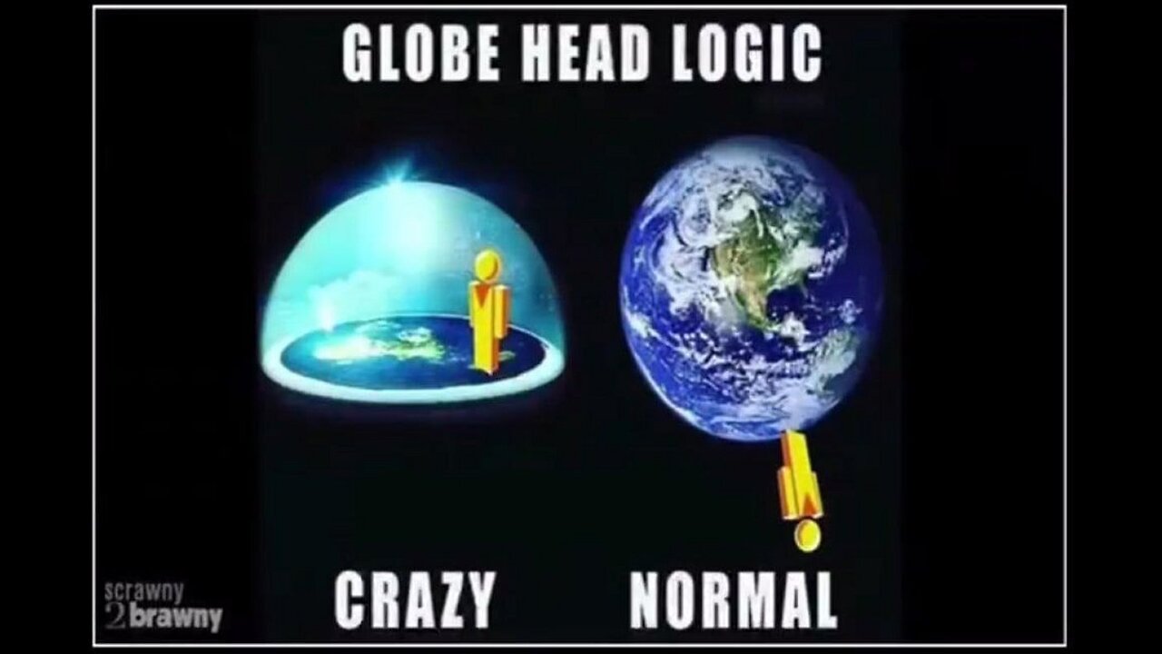 🤡 “Chronicles of the Mentally Unhinged”. OMG!!!