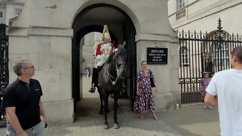 Another day of posing with the Horse #horseguardsparade