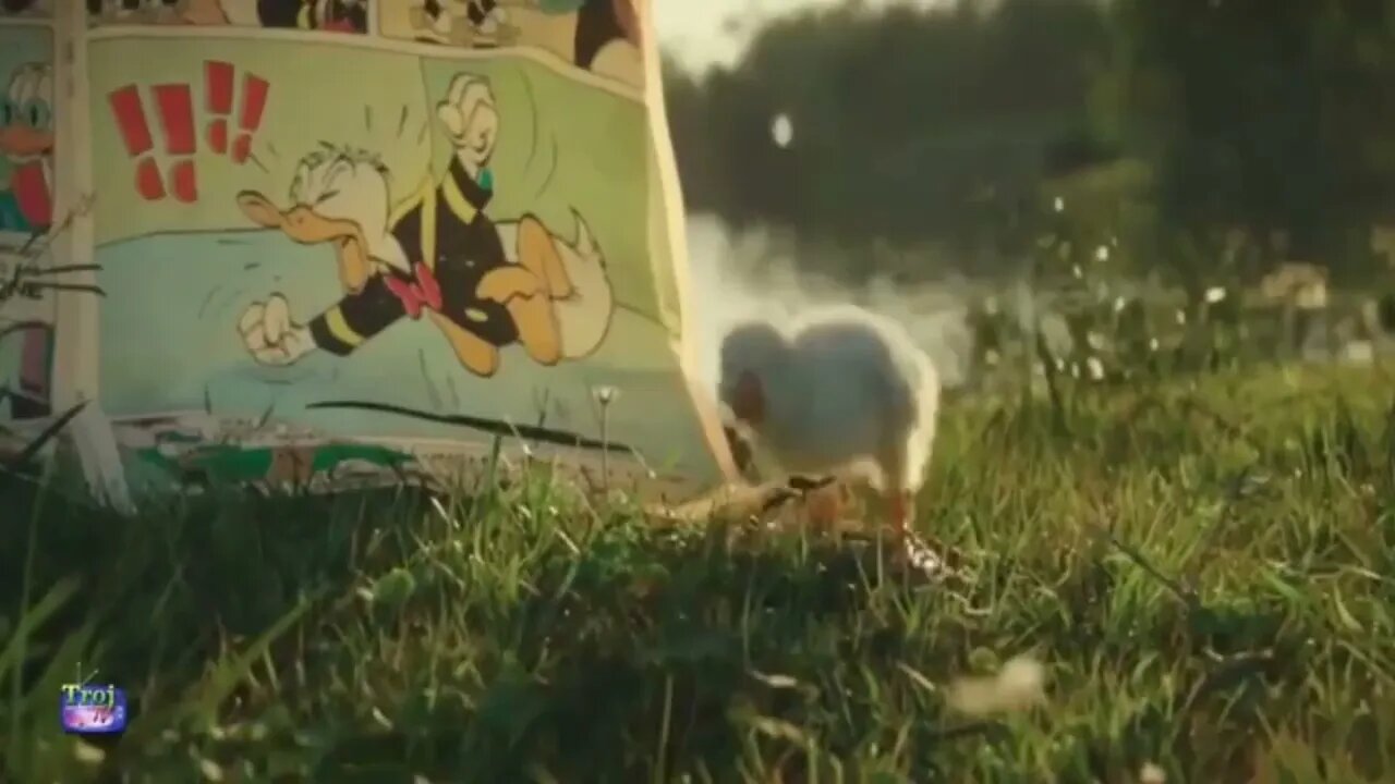 Cute Things