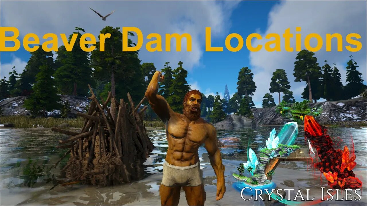 Beaver Dams And Beaver Locations l Official Crystal Isles