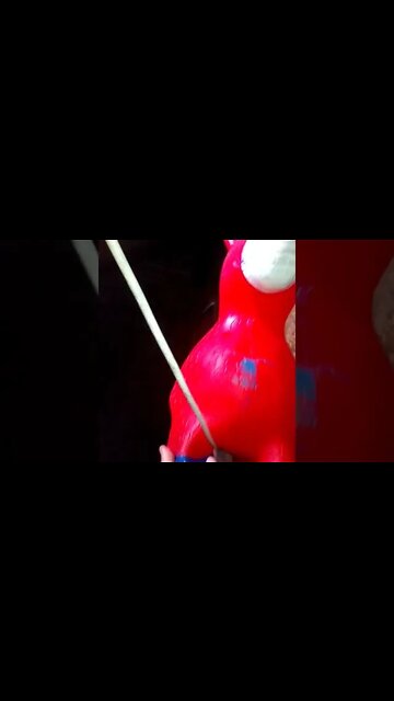 o mariro poney andando corda #shorts