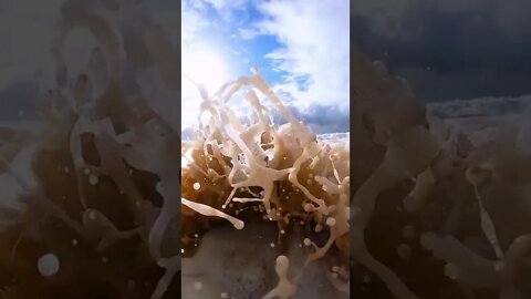 splash out
