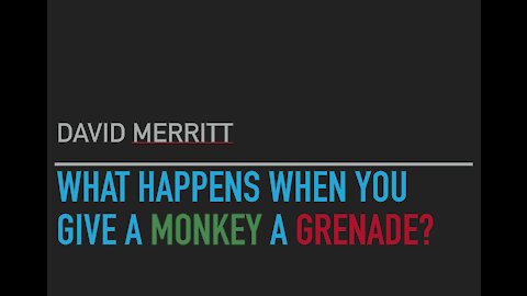 Monkeys with hand grenades