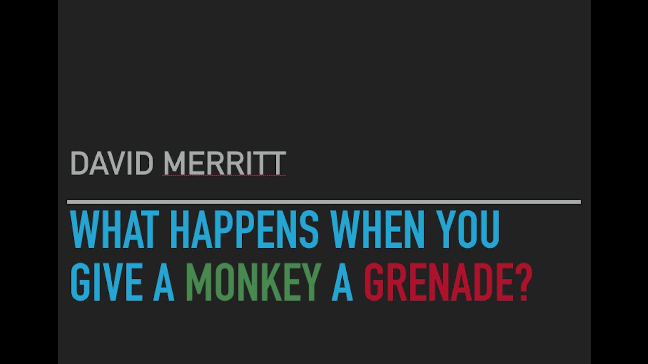 Monkeys with hand grenades