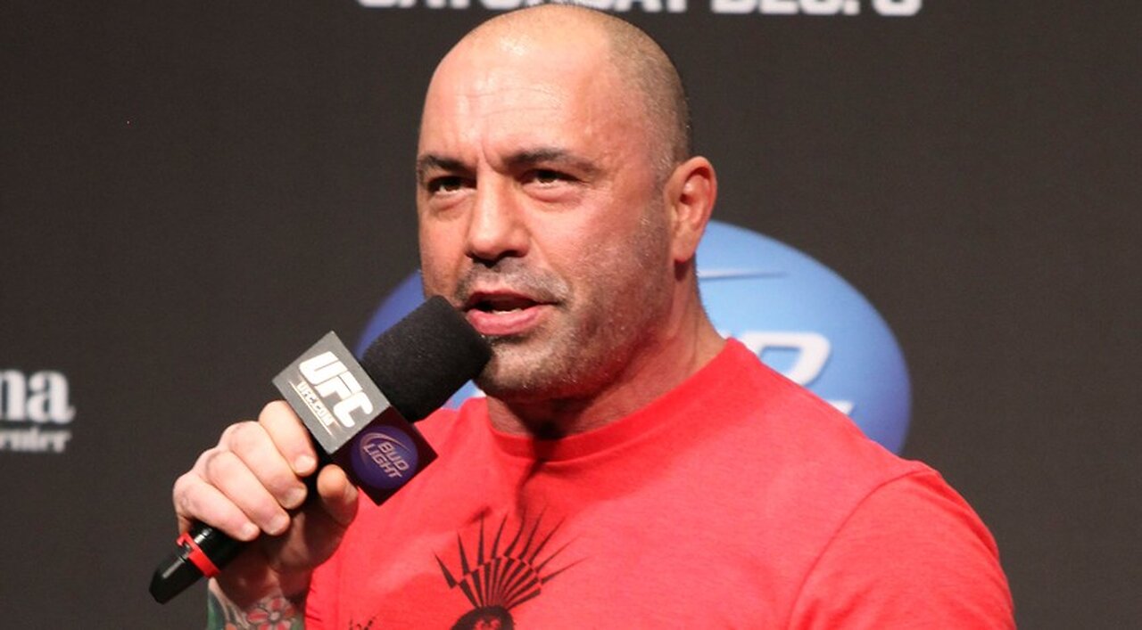 Joe Rogan Blasts Bud Light, Target: Americans Have Had 'Enough' of Woke Messaging