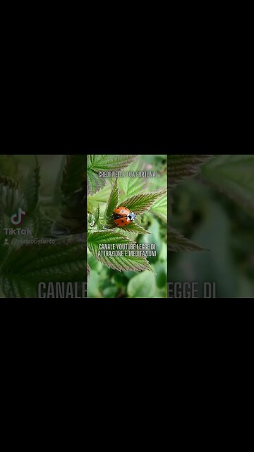 #shorts. https://www.youtube.com/channel/UCWM6EmrFmntcSIFJPyS6kgg#diventarericco