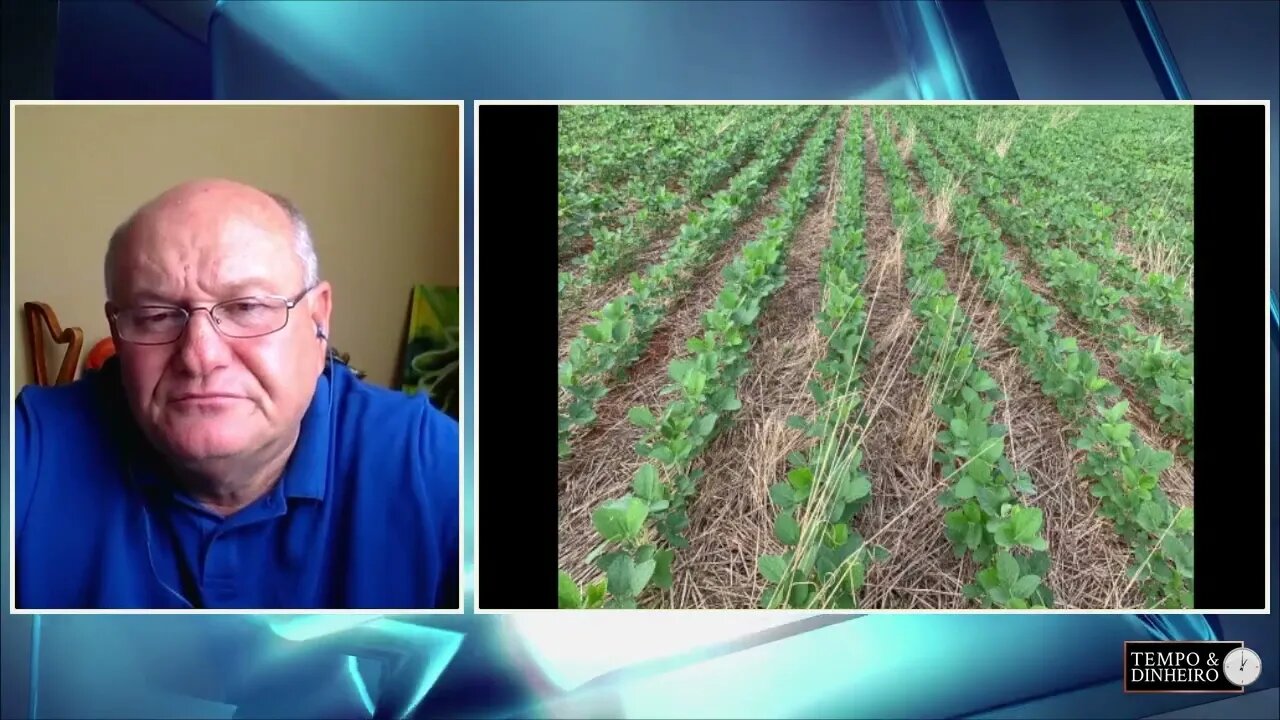 Soja desponta entre São Francisco e Unistalda, no RS