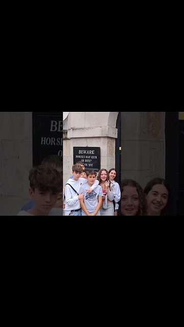 The horse sniffs the girl and scares her #horseguardsparade