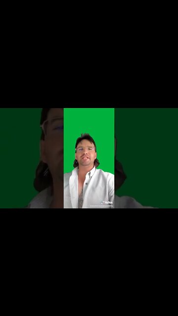 MULLET GREEN SCREEN EFFECTS/ELEMENTS