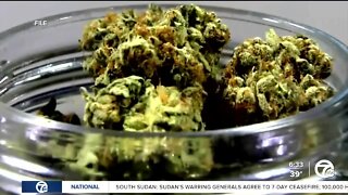 City of Taylor approves recreational marijuana sales