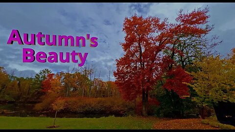 Autumn’s Beauty 2023