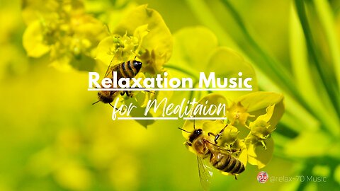 Relaxation Music for Meditation: 'Serene View'