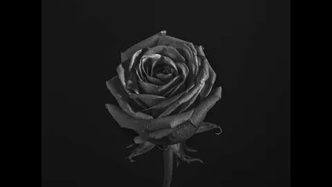 NTE RG - Jus 4 U Prod By Yung Murk 2022
