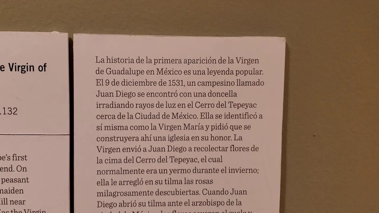 LA VIRGEN DE GUADALUPE PHOENIX ART MUSEUM AZ USA 🇺🇸