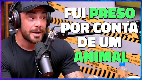 NÃO TENHO MEDO DE GRITO NEM DE CARA FEIA | FELIPE TITTO