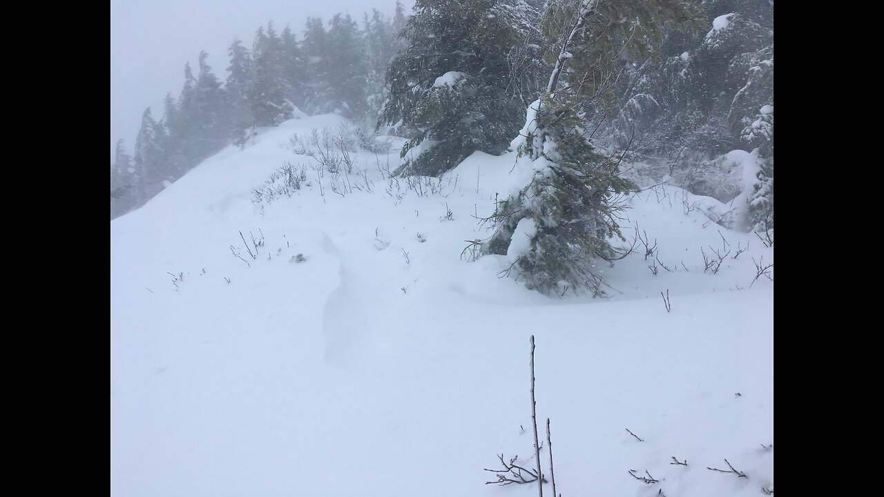 KINGS MOUNTAIN: Fun in the Snow! (Tillamook Oregon, USA)