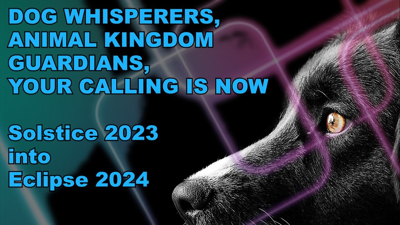 Dog Whisperers, Animal Kingdom Guardians, Your Calling is Now (Solstice 2023 into Eclipse 2024)