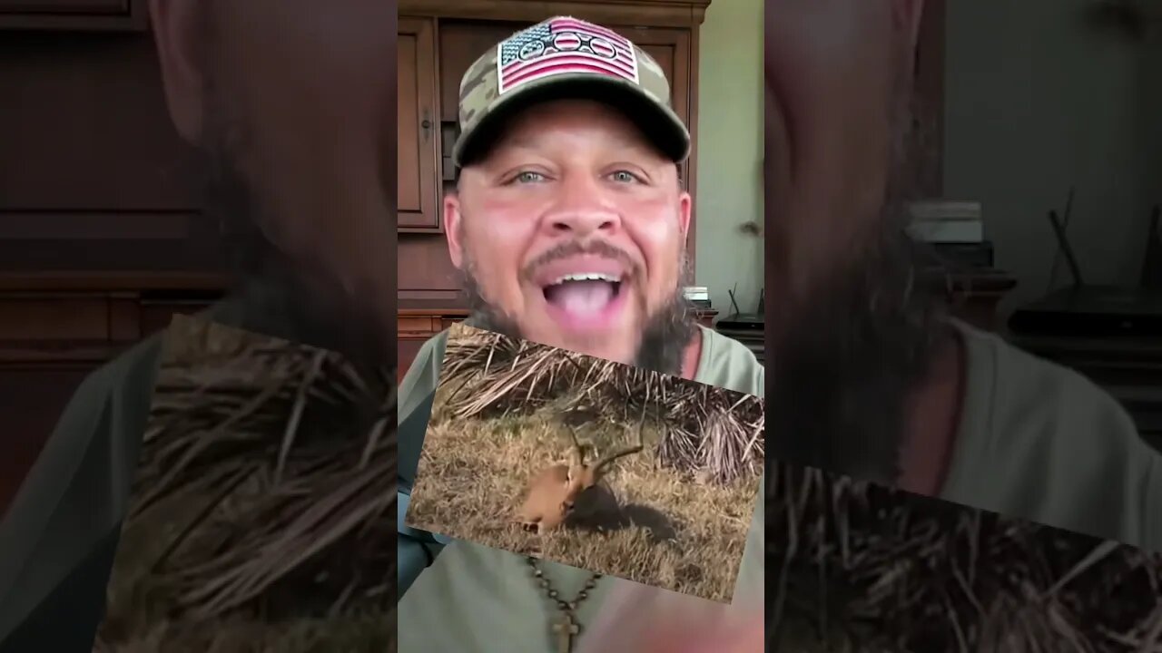 FREAK OUT Like An Animal