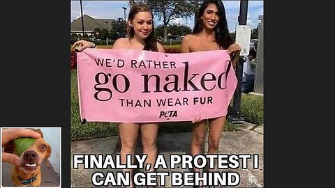 Memes That Will 99.848% Make You Laugh. (e73)