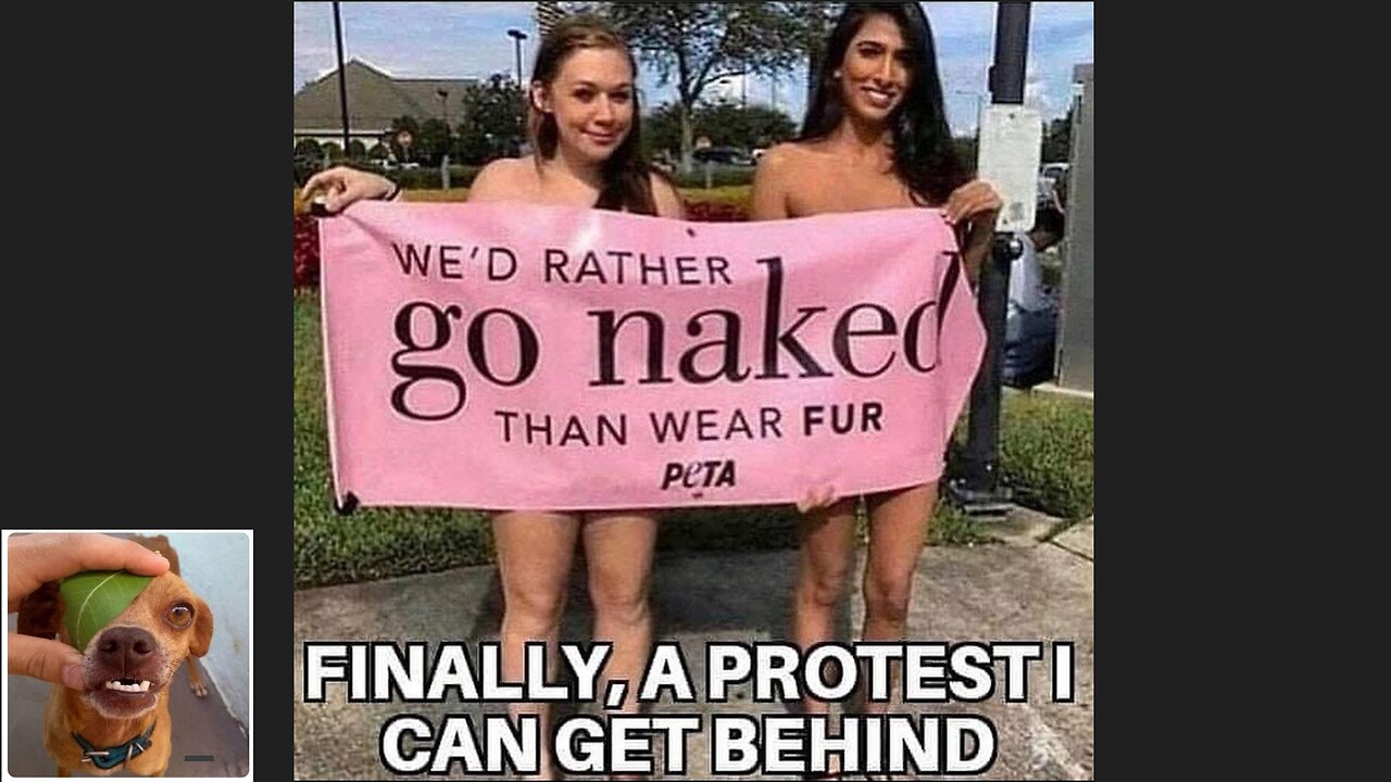 Memes That Will 99.848% Make You Laugh. (e73)