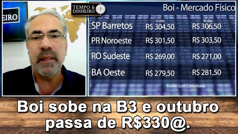 Boi sobe na B3 e outubro passa de R$330@. Físico cai em 11 praças pecuárias