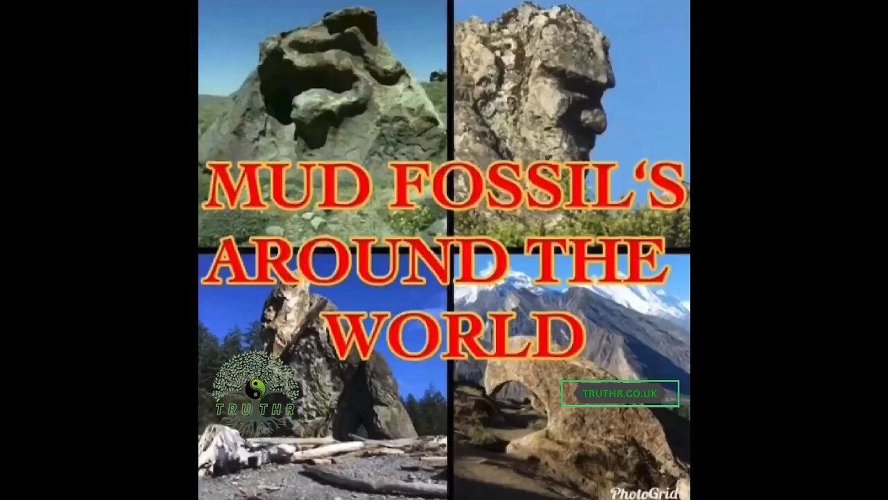 Mud Fossils Compilation🗿