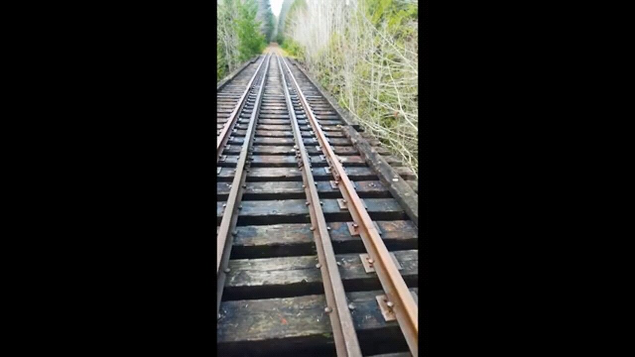 This abandoned railway is full of trestles