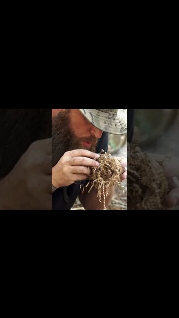 Starting A Bowdrill Fire #Shorts