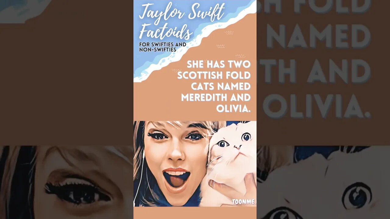 Taylor Swift Factoids: #cats #fyp #youtubeshorts #TaylorSwift