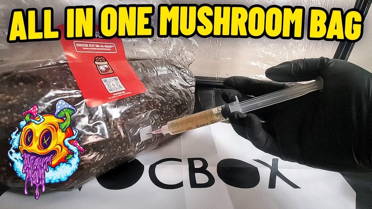 All In One Mushroom Grow Bag Inoculation - S2 EP1