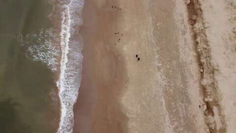 DJI Mini 2 Landing on a Beach