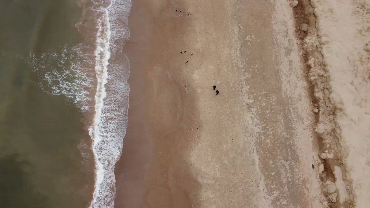 DJI Mini 2 Landing on a Beach