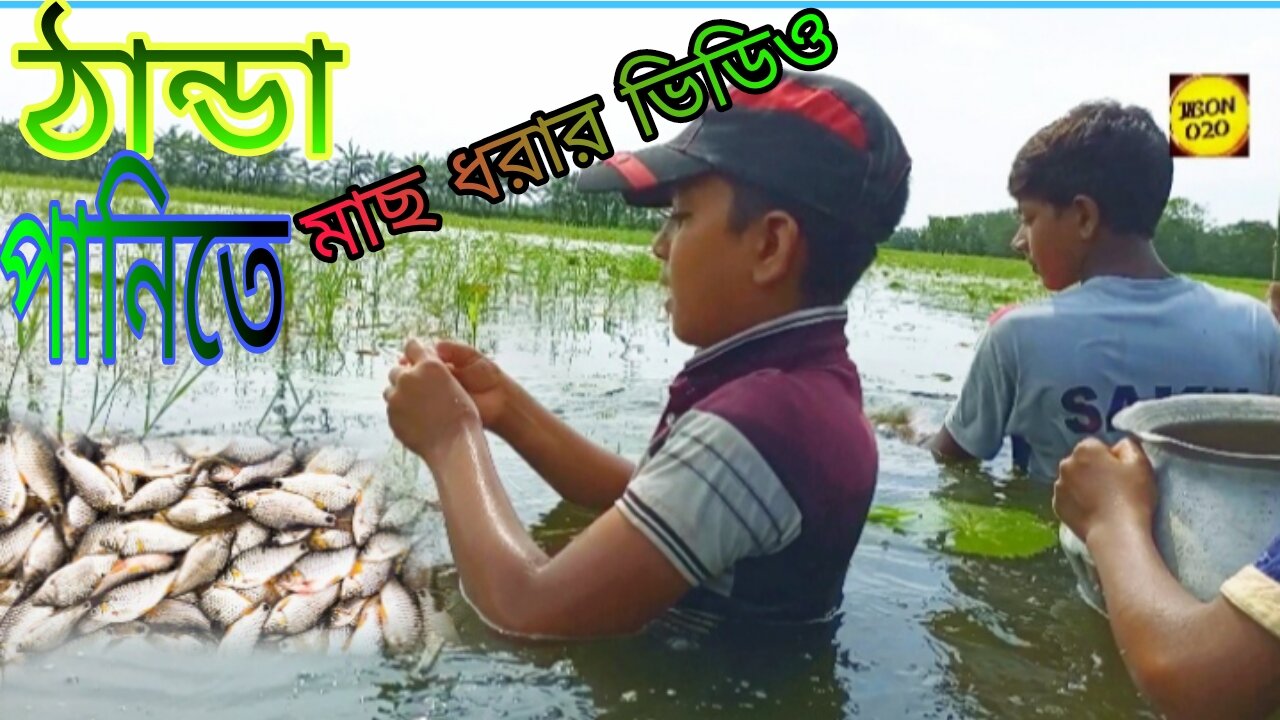 Amazing fishing || A chest of cold water Beautiful view of village boys fishing in current net.