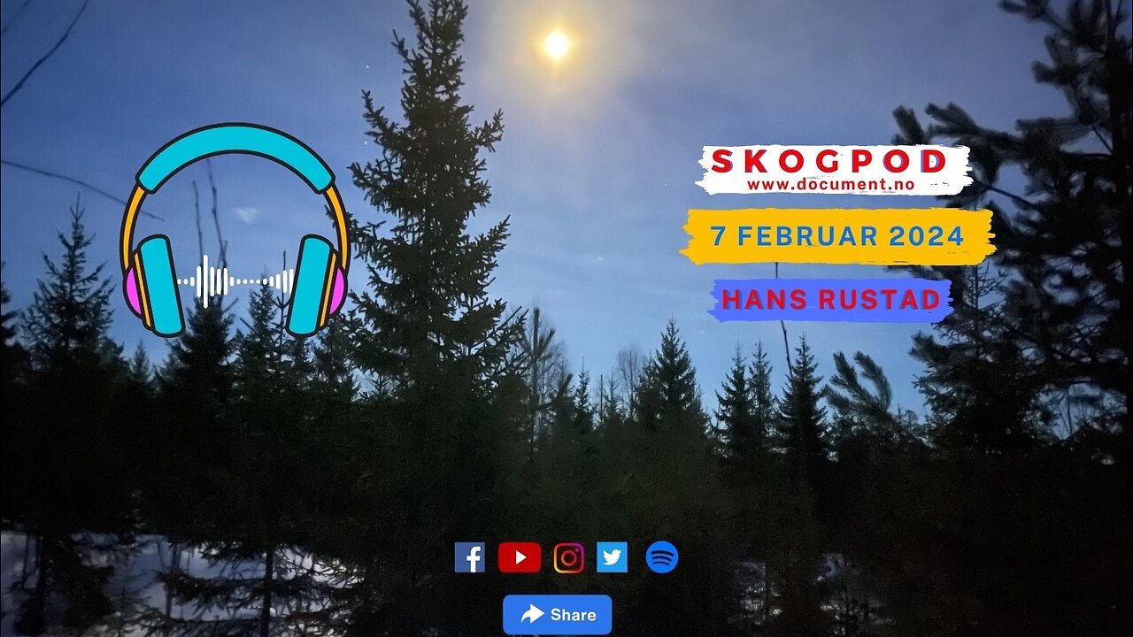 Skogpod 7. feb 2024