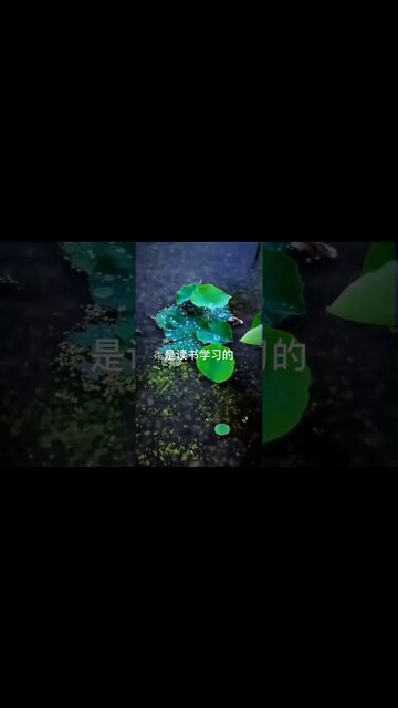 开悟堂世界公民频道 Kai wu tang world citizen chann