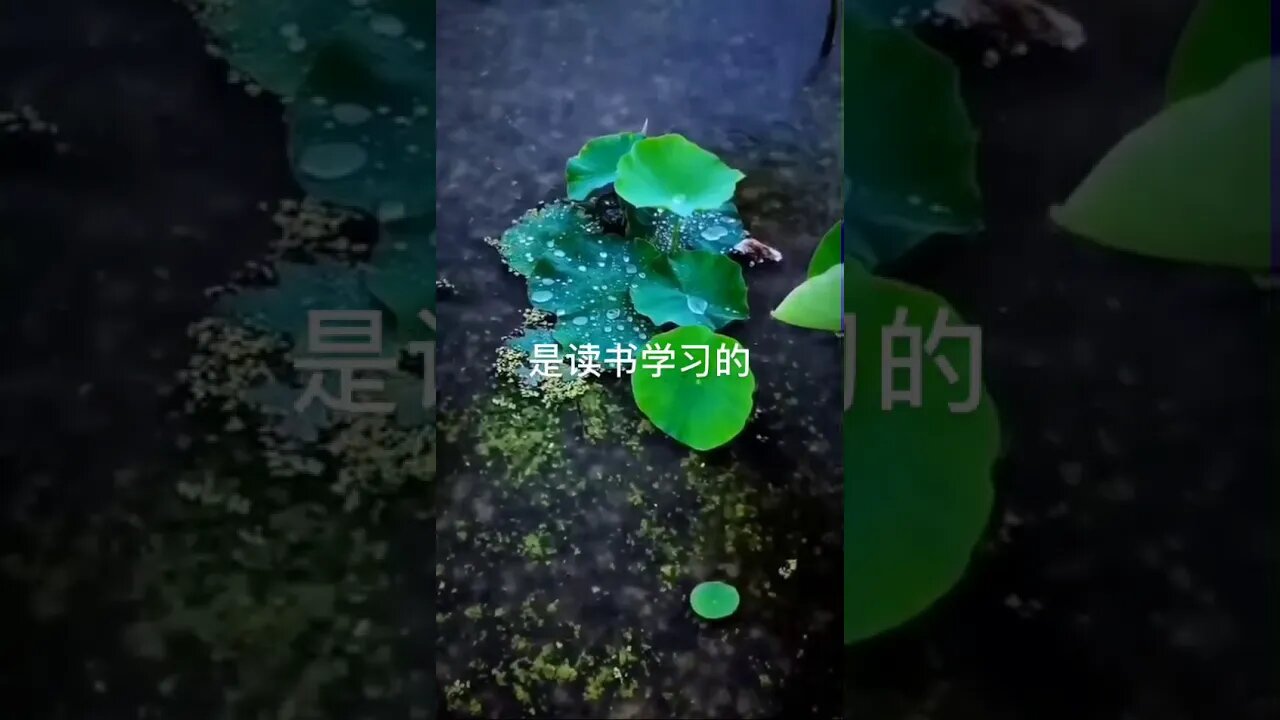 开悟堂世界公民频道 Kai wu tang world citizen chann