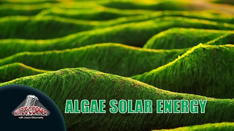 23 year old aids in inventing Biodegradable Solar Panels from Algae