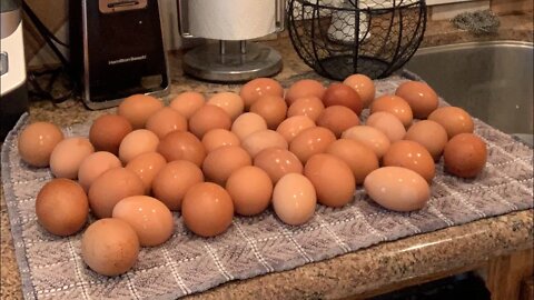 To wash or not wash your farm fresh eggs