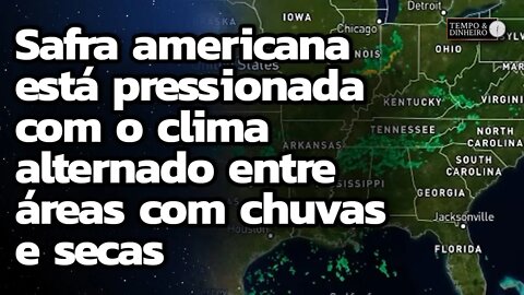 Safra americana está pressionada com o clima alternado entre áreas com chuvas e secas