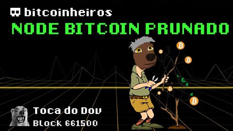 Como rodar um nó de Bitcoin no modo pruned