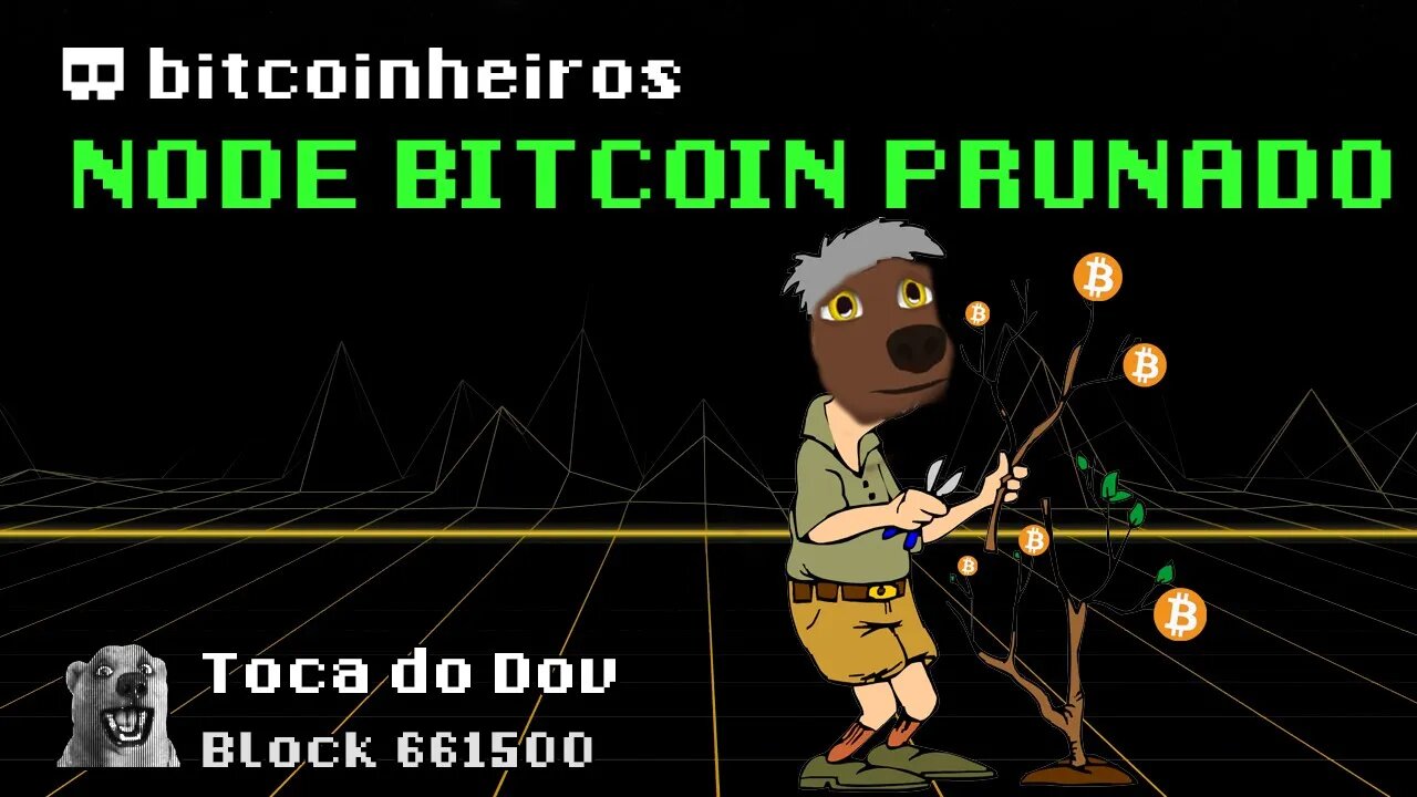 Como rodar um nó de Bitcoin no modo pruned