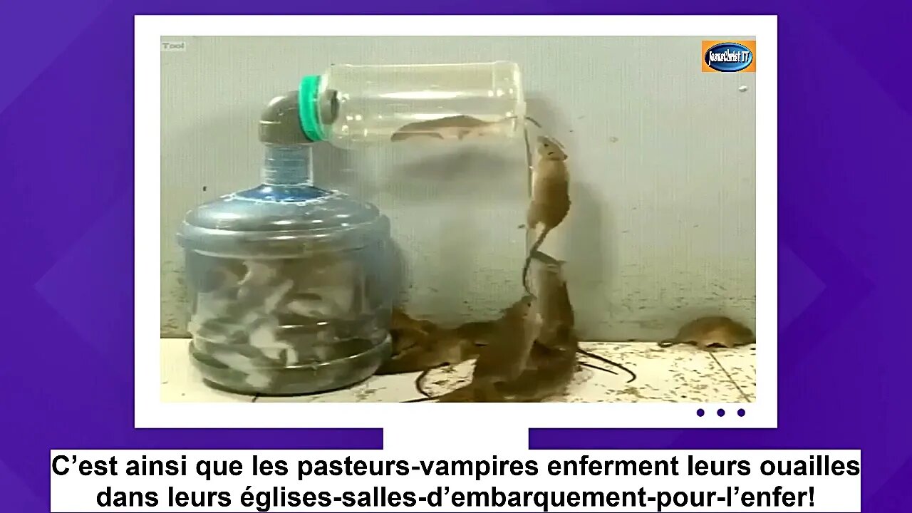CES PAUVRES RATS QUI EN DISENT LONG SUR LES PASTEURS-VAMPIRES ET ESCROCS!
