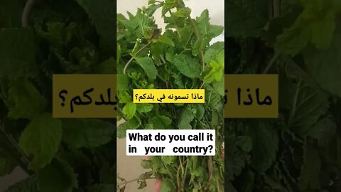 ماذا يسمى في بلدكم؟