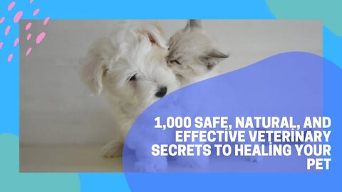 1,000 Safe, Natural, And Effective Veterinary Secrets To Healing Your Pet