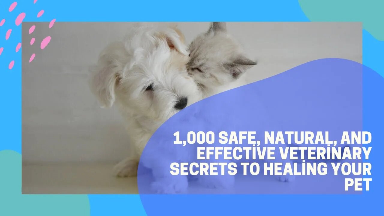 1,000 Safe, Natural, And Effective Veterinary Secrets To Healing Your Pet