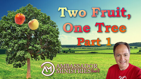 Sin & Sickness - Two Fruit, One Tree, Part 1