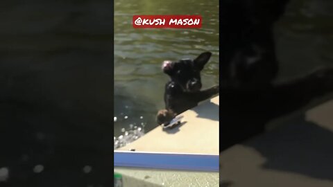 Max falls off the boat