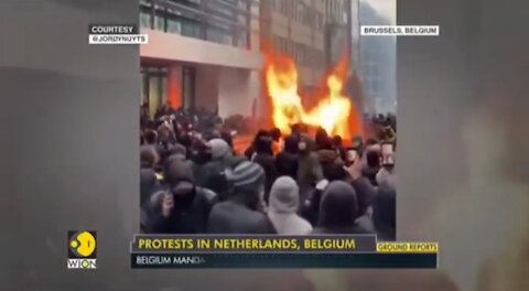 🚨Worldwide Vexine Protests🚨 II