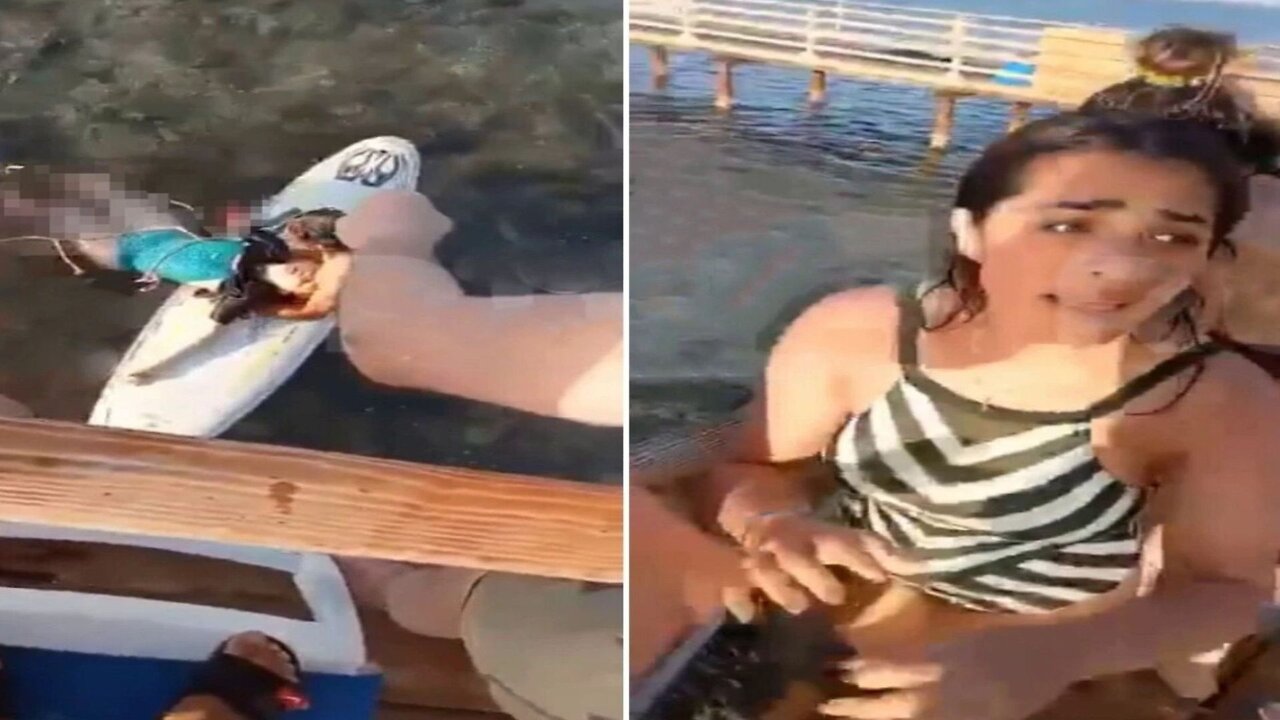 A shark tore a woman apart! Another shark attack in Egypt