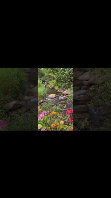 Best Relaxing Sound & Video | Peaceful River | #shorts